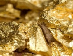 Puluhan penambang emas ilegal Waserawi dibawa ke Polres Manokwari