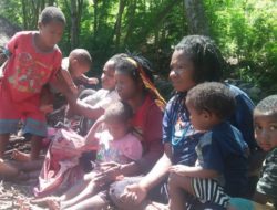 Kisah pilu pengungsi Papua : “Alpukat dan markisa biasa kasih ke mereka, tetapi rumah kami mereka tembak”