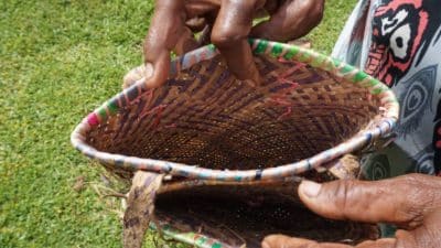 Sumber obat tradisional hutan adat Warbon diantara empat patok LAPAN