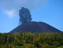 Gunung Anak Krakatau berstatus siaga