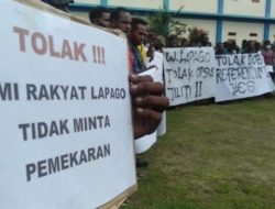 Pro-kontra rencana pemekaran Papua, Kadepa: pemerintah perlu lakukan kajian