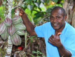 Rumah Coklat menjadi tempat pelatihan dan pembinaan usaha olahan kakao
