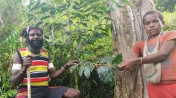 Pemprov Papua akan promosikan kopi Paniai dalam KTT G20