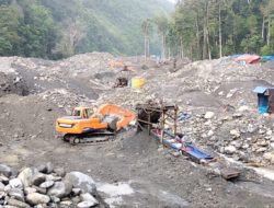 MRPB desak usut pemodal tambang emas ilegal di Manokwari
