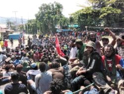 Gubernur, MRP, dan DPR Papua diminta samakan persepsi soal pemekaran Papua