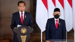 Jokowi ke Ukraina-Rusia kemudian lanjut bahas kerja sama-investasi dengan UEA