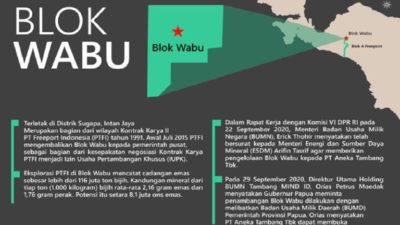 Rencana penambangan Blok Wabu bukan hanya masalah warga Intan Jaya