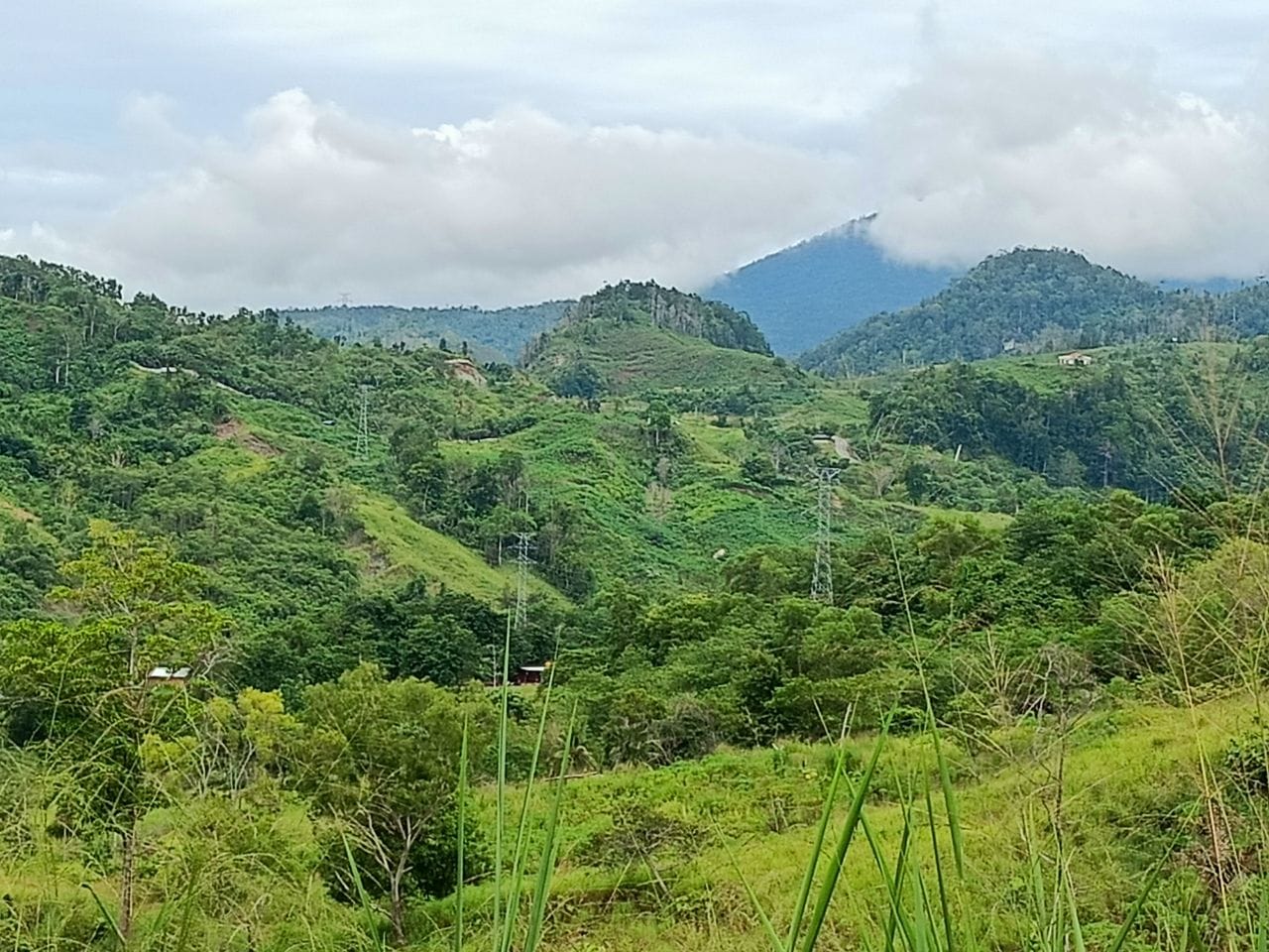 Penanaman pohon untuk menjaga sumber air di Kota Jayapura 4 Sumber air kota jayapura
