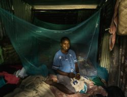 Wabah malaria di Vanuatu