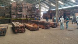 Dua perusahaan kayu gugat Gakkum KLHK Maluku-Papua