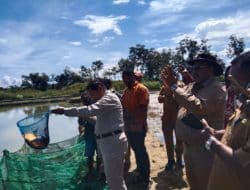Kelompok usaha budi daya ikan air tawar di Jayawijaya hasilkan jutaan rupiah
