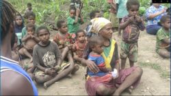 Dampak Konflik Papua terhadap Rakyat Papua