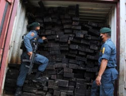 DPO tersangka “illegal logging” di Papua segera disidangkan secara In absentia