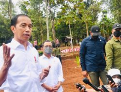 Jokowi: Penugasan perwira aktif TNI di kementerian dan lembaga belum mendesak