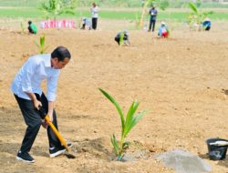 Jokowi tegaskan pentingnya jaga pasokan pangan nasional