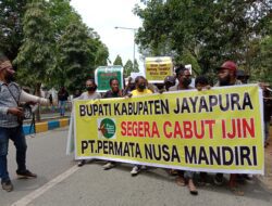 Masyarakat adat datangi Kantor Bupati Jayapura, minta izin lokasi PT Permata Nusa Mandiri dicabut