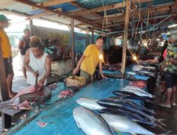 Nelayan Manokwari ingin langsung mengekspor ikan tuna