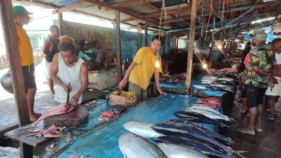 Nelayan Manokwari ingin langsung mengekspor ikan tuna