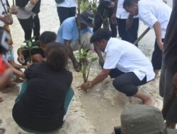Masyarakat bersama Pemerintah Raja Ampat tanam 2.500 mangrove