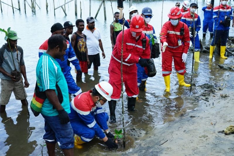 Pertamina RU VII Kasim Tanam 10.000 Bakau Cegah Abrasi | Jubi Papua