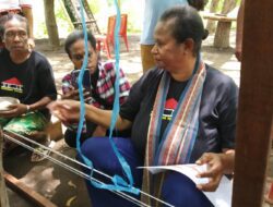 Tenun ikat Terfo tradisi Suku Sobey dari Kabupaten Sarmi terancam punah