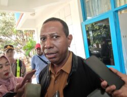 Pembentukan perangkat daerah Pemprov Papua Selatan menunggu izin dua kementerian