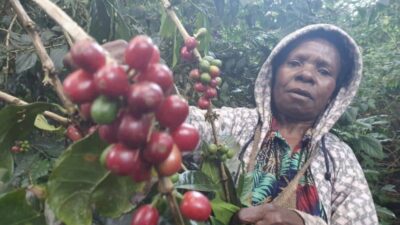 Pemprov Papua akan promosikan kopi, batik dan kerajinan tangan di forum G20