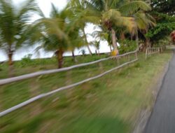Pengaspalan jalan lingkar pulau Numfor serap anggaran Rp85 Miliar