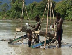 Papua Nugini mencadangkan penambangan alluvial