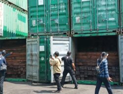 KLHK bongkar 57 kontainer peredaran kayu ilegal asal Papua di Pelabuhan Tanjung Perak