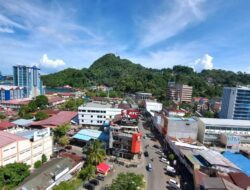 PHRI Papua sebut okupansi awal 2023 turun