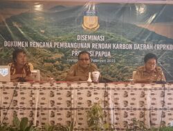 Pemerintah Provinsi Papua sosialisasikan revisi rencana pembangunan rendah karbon