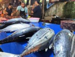 Harga ikan laut di Pasar Baru Sentani naik