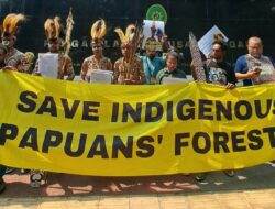 Pejuang lingkungan Suku Awyu ajukan intervensi ke PTUN Jakarta