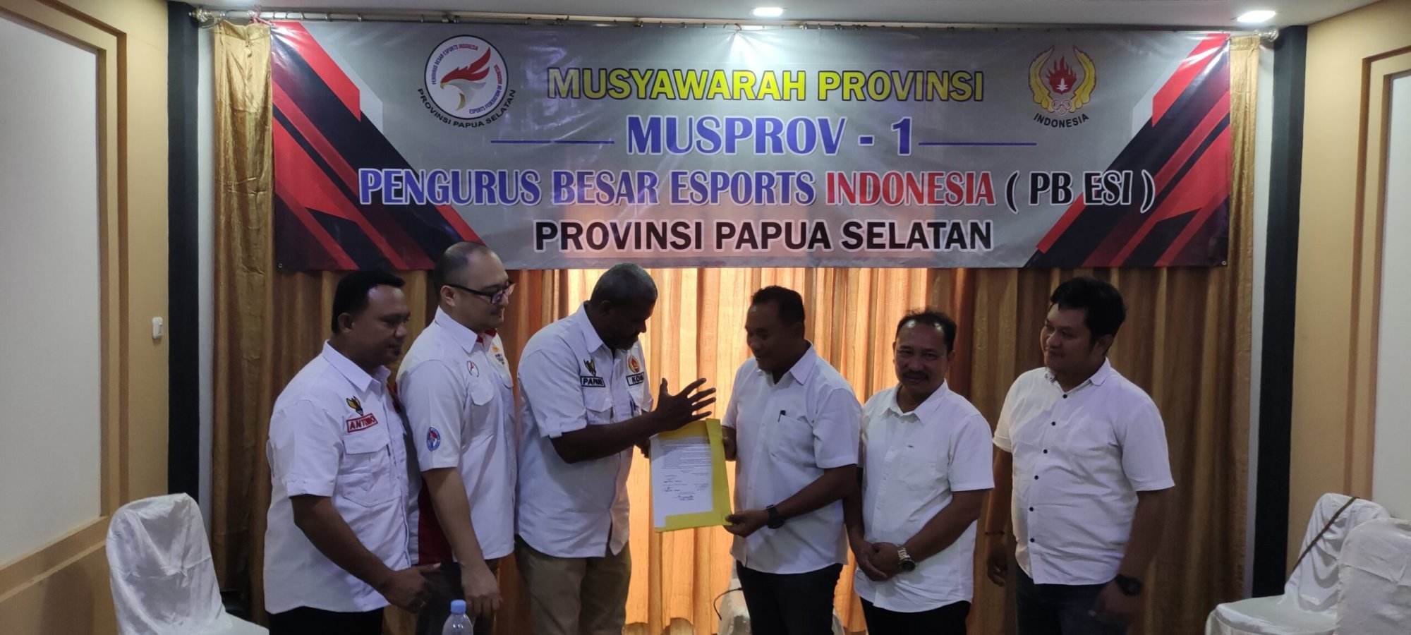 ESI Papua Selatan
