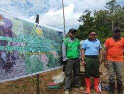PT Freeport Indonesia tanam pohon buah dan kayu di ratusan hektare lahan di Kemtuk 