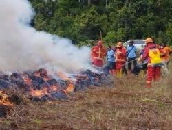 PT Freeport Indonesia gandeng Dinas KLH Papua simulasi pemadaman kebakaran hutan