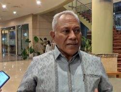 Legislator asal Papua sebut rekrutmen OAP di provinsi DOB belum sesuai perintah undang-undang
