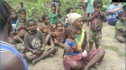Laurenzus Kadepa: Konflik bersenjata di Tanah Papua ancaman terhadap warga sipil