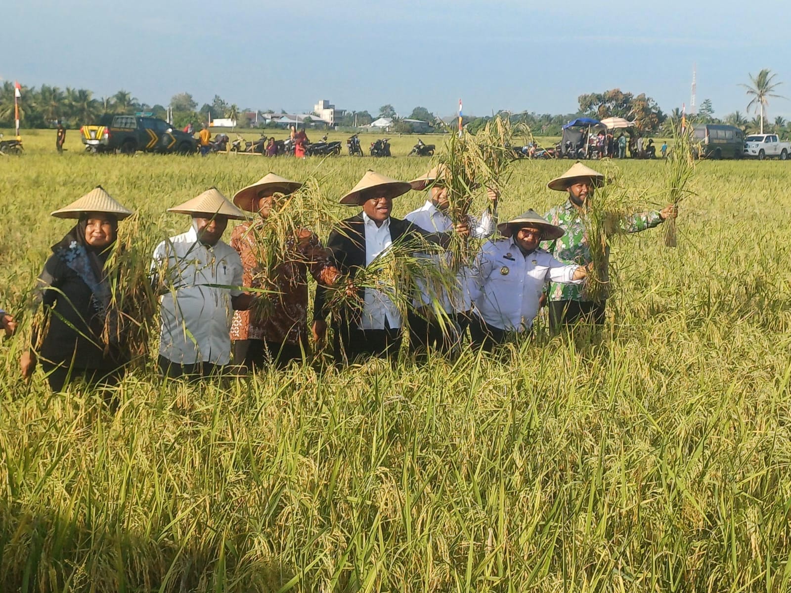 HIPETA bersama Wamendagri panen raya padi seluas 60 Hektare di Nabire 1 Panen raya padi