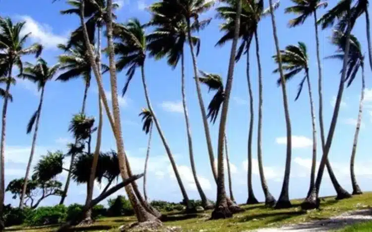 Kampung di Samoa harus mengikuti perintah pengadilan terkait sengketa tanah 1 Samoa