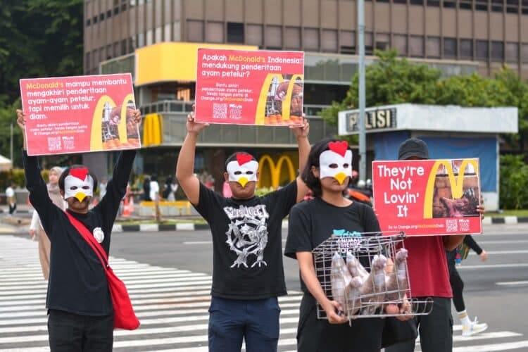 Sejumlah aktivis dari Animal Friends Jogja (AFJ) berdiri berjajar memegang poster di antara kerumunan Car Free Day (CFD) di depan McDonald’s Sarinah, Thamrin, Jakarta Pusat, Sabtu (28/1/24) - Jubi/AFJ