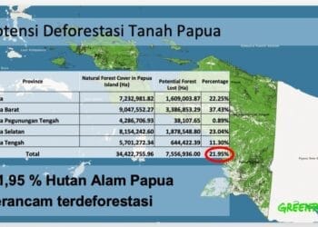 provinsi baru