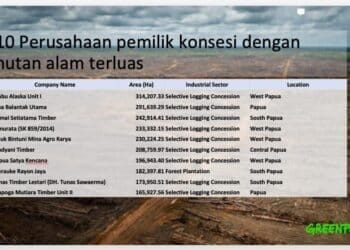 Greenpeace Indonesia