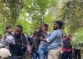 Ladang ganja terus bermunculan di Tanah Papua 4 Polres Jayawijaya