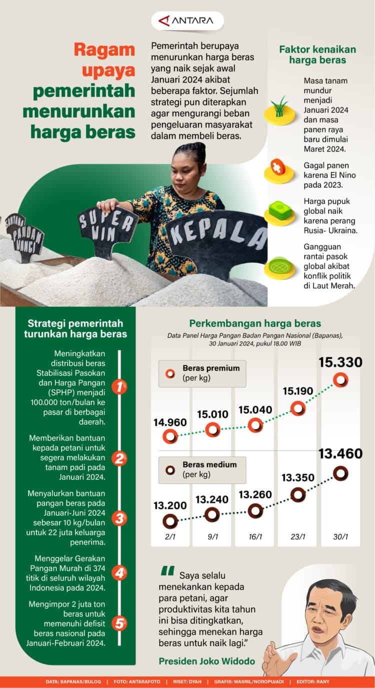 harga beras