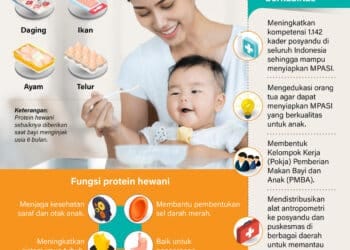 MPASI
