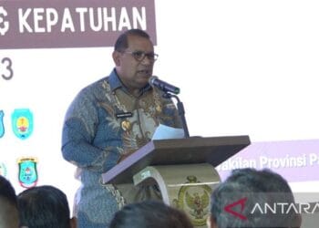 Papua Barat Daya