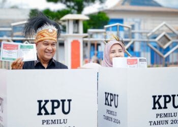 Papua Pegunungan