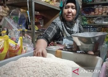 bantuan pangan beras